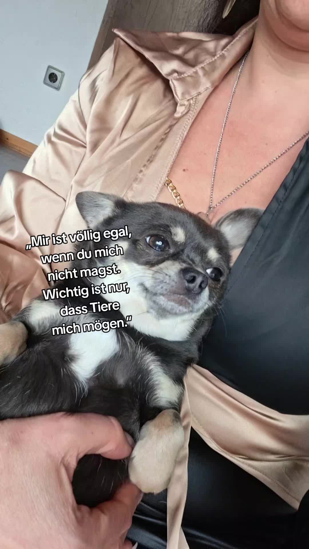 @Denise Bayazit