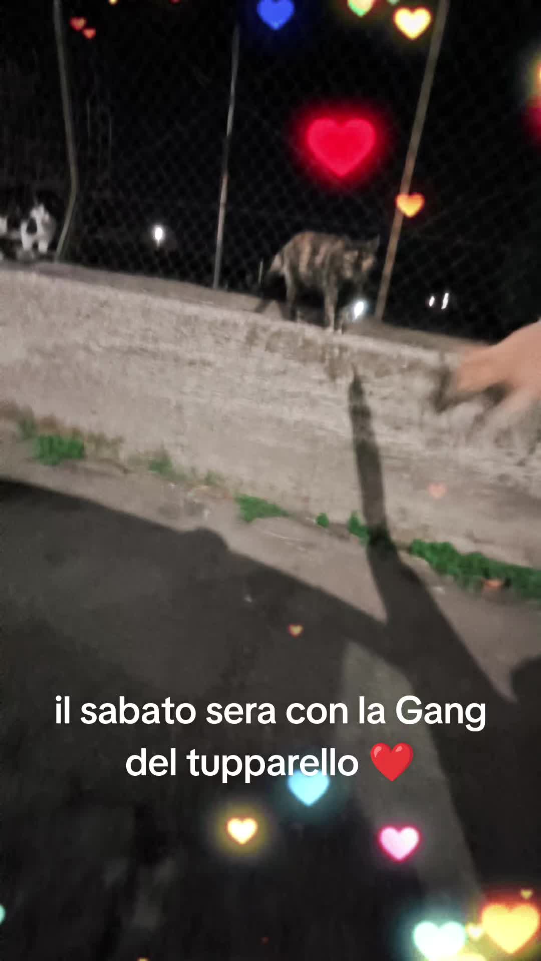 @Gracy