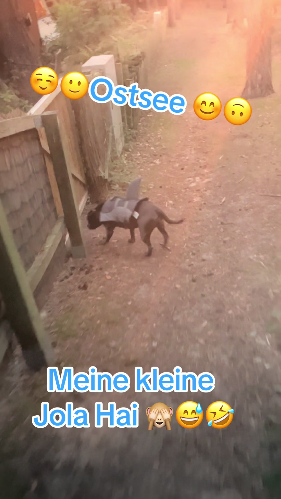 @Chris ❤️Tyson&Jola😍😎