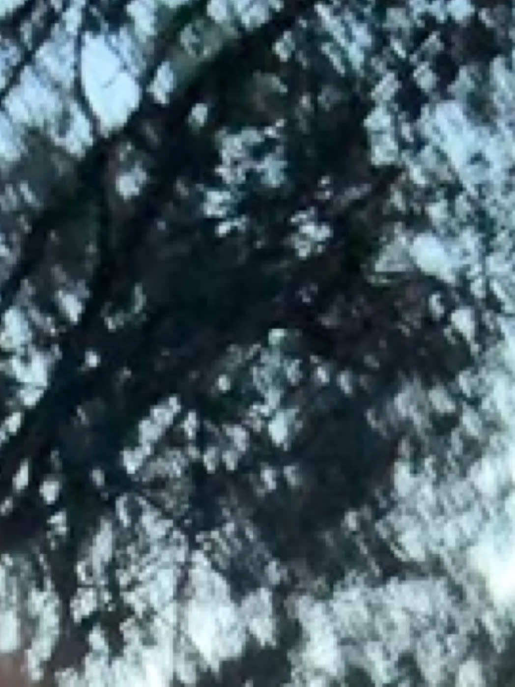 @𝓜𝓪𝓼𝓱𝓪