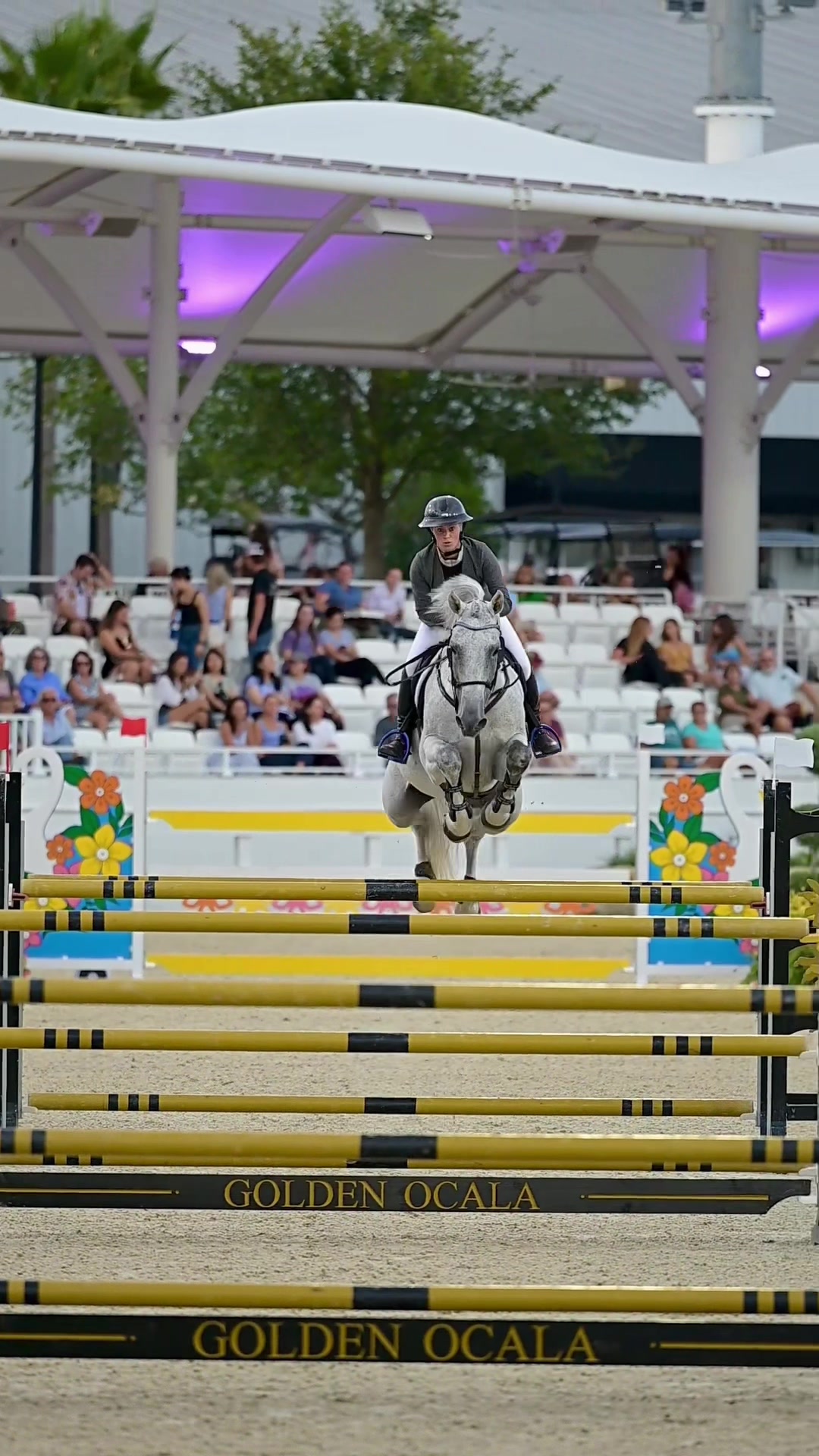 @Free Ride Equestrian