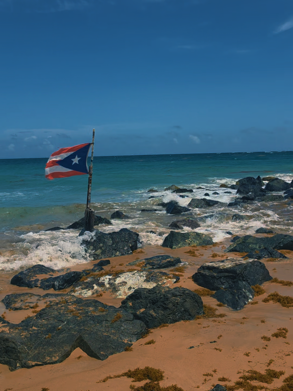 @Roxanne