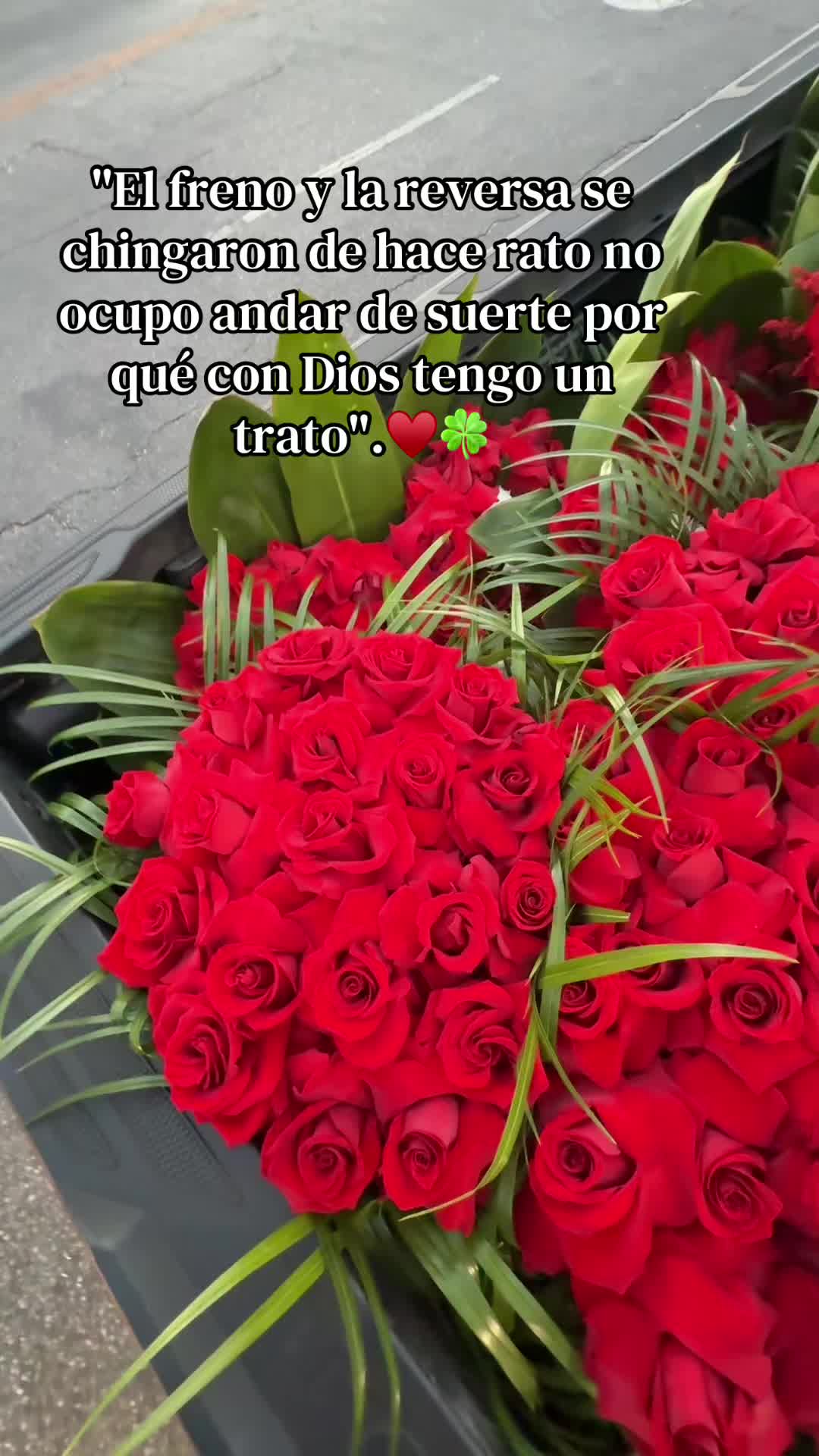 @Clari Velasquez ☘️🌹🌻🍒