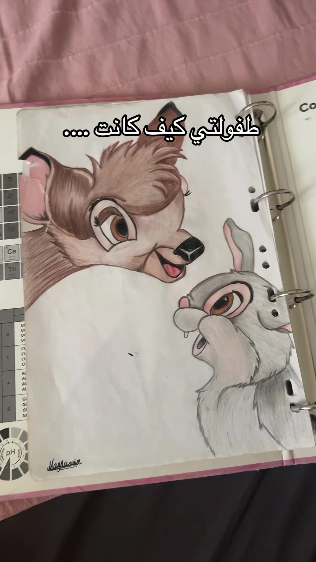 @yasmina.magraoui