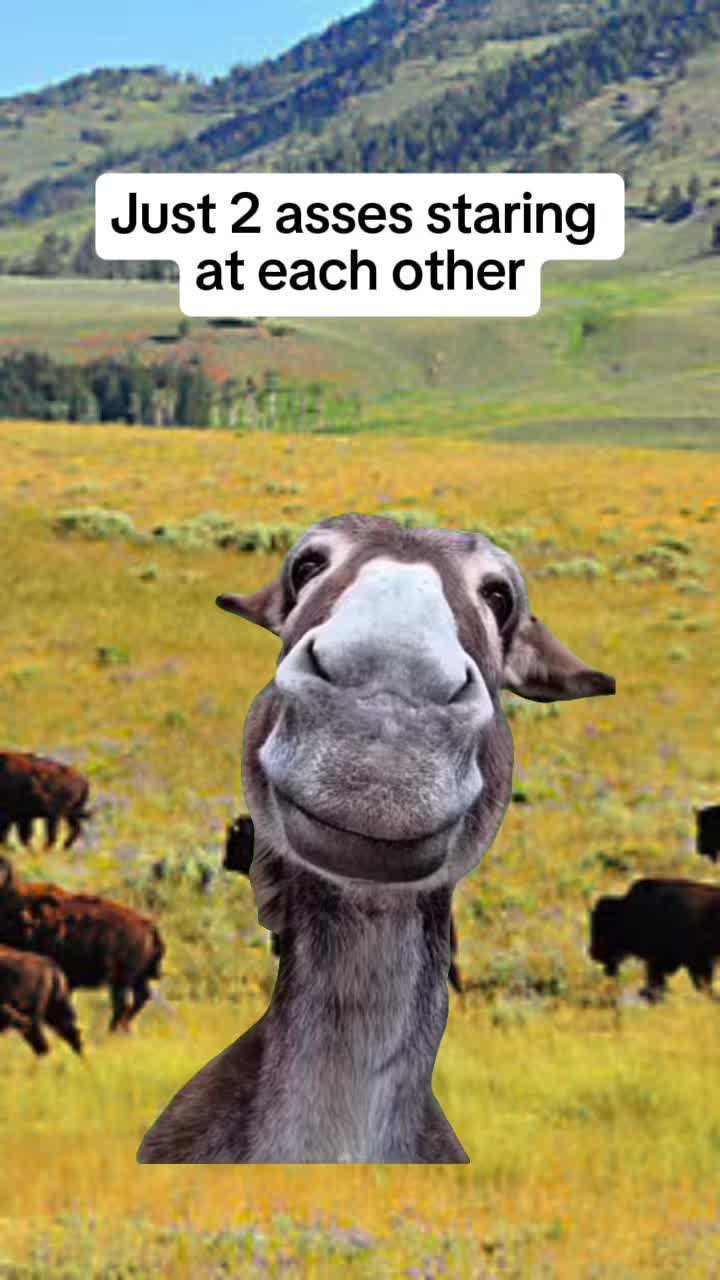 @Dylan Kasper