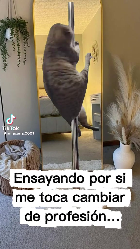 @Dorada