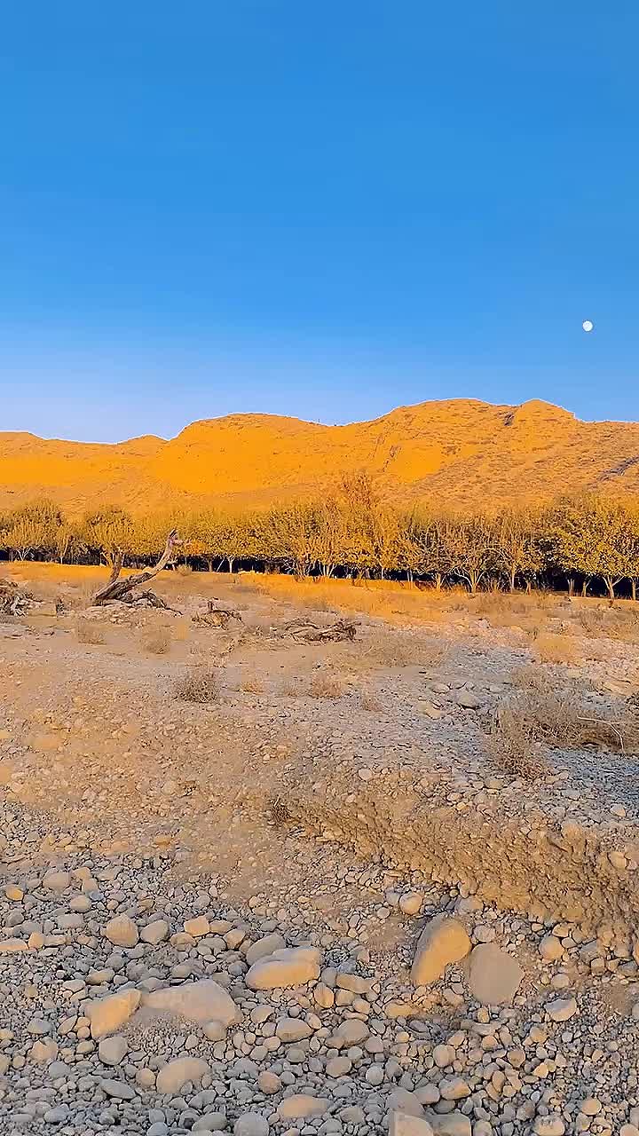 @بڑیچ یوتھ ونگ