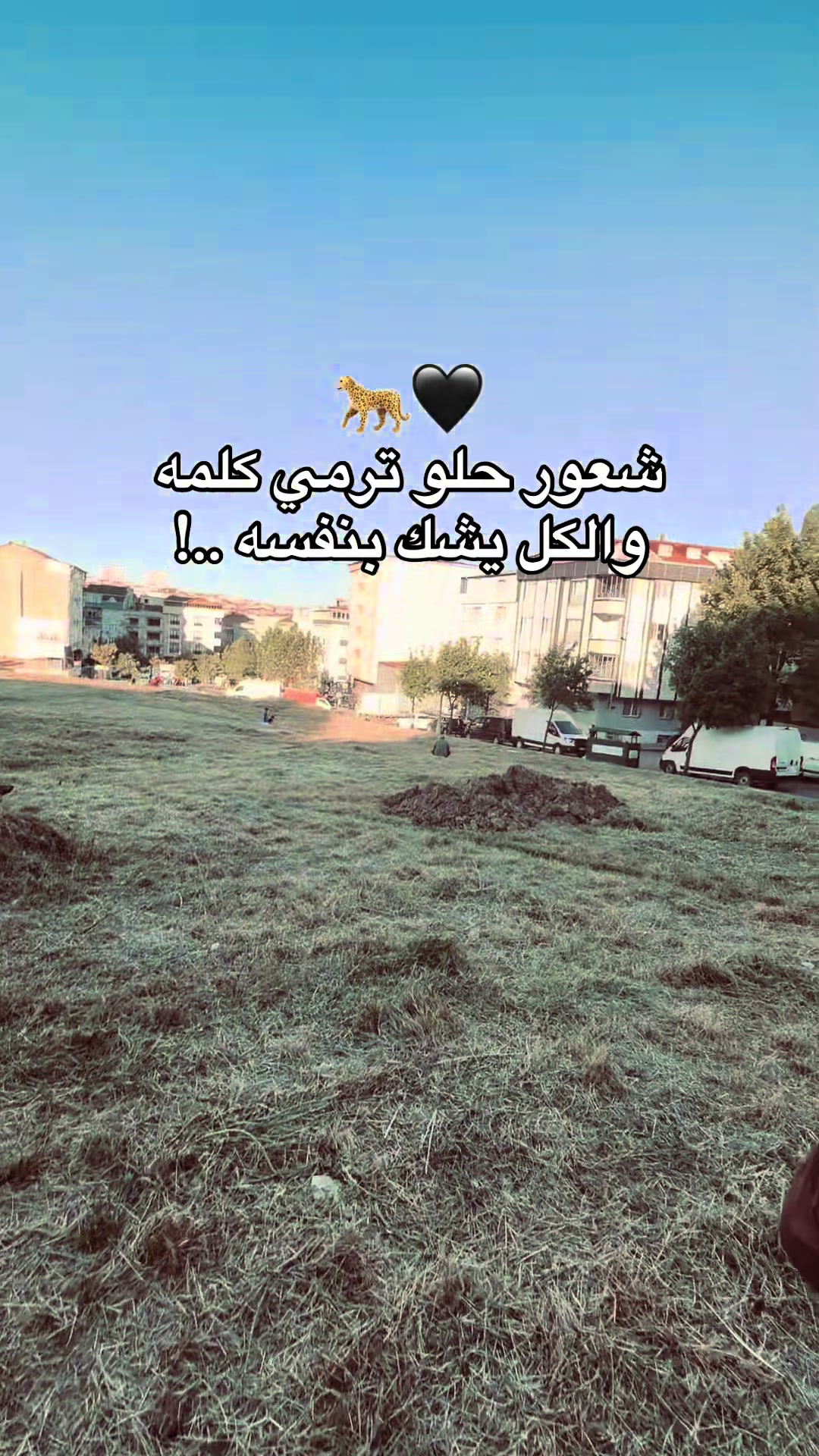 @﮼حسون
