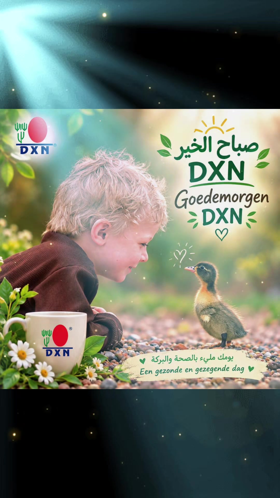 @DXN NEDERLAND