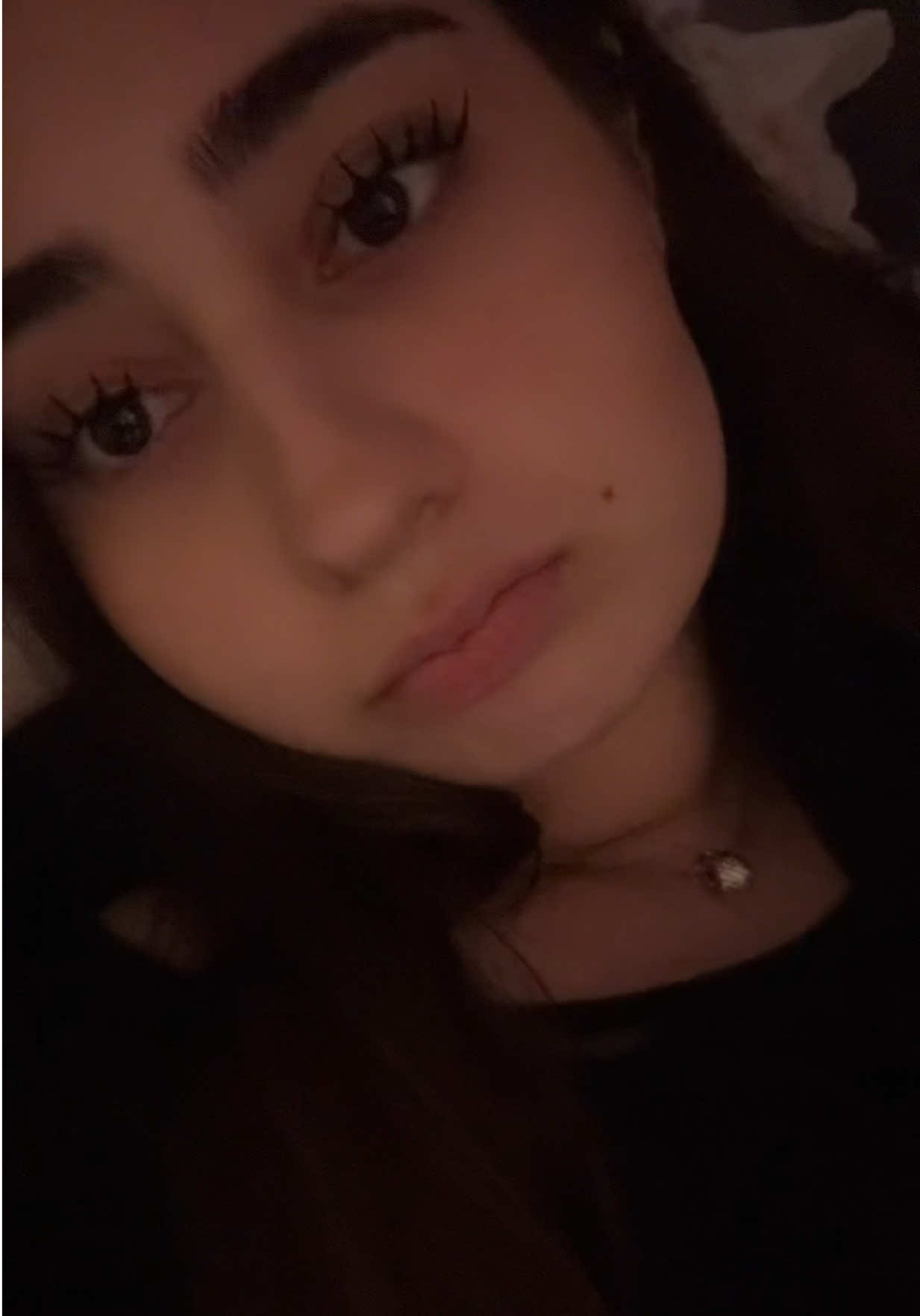 @bunniesways