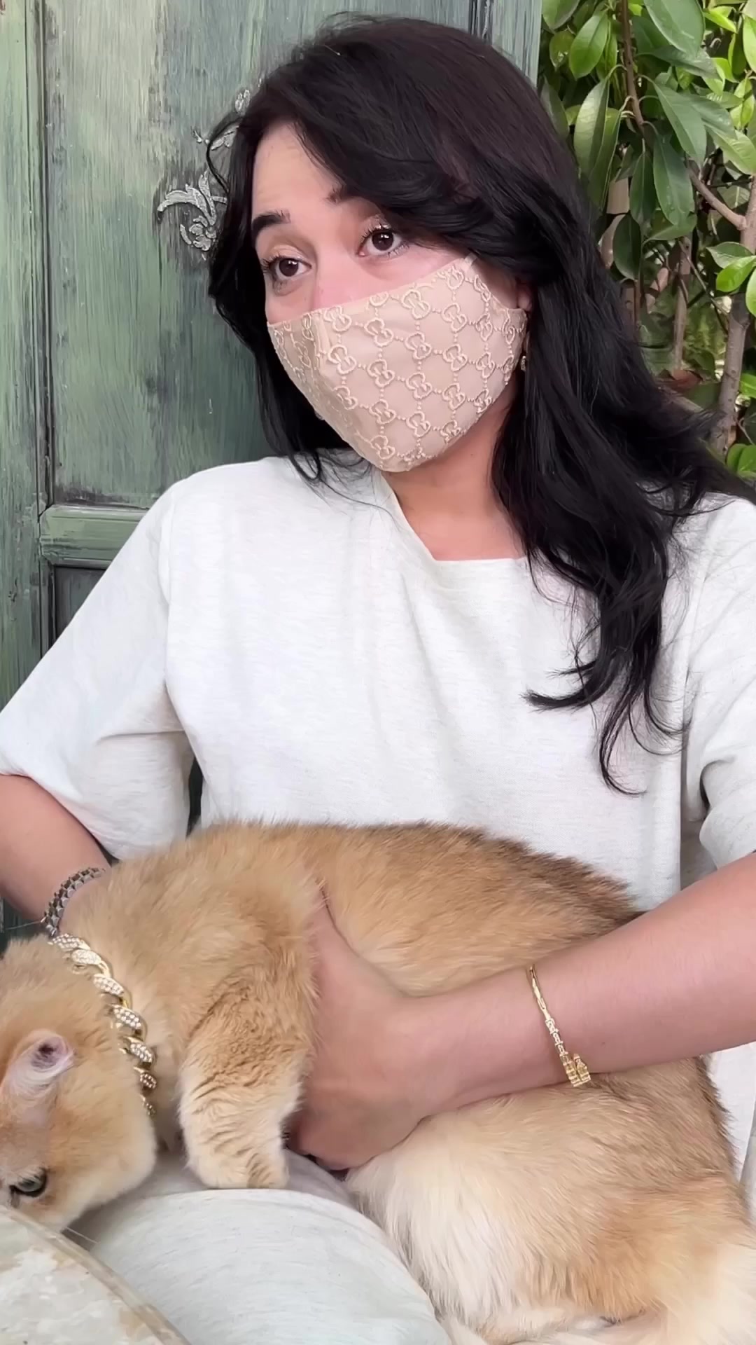 @kittens_uz