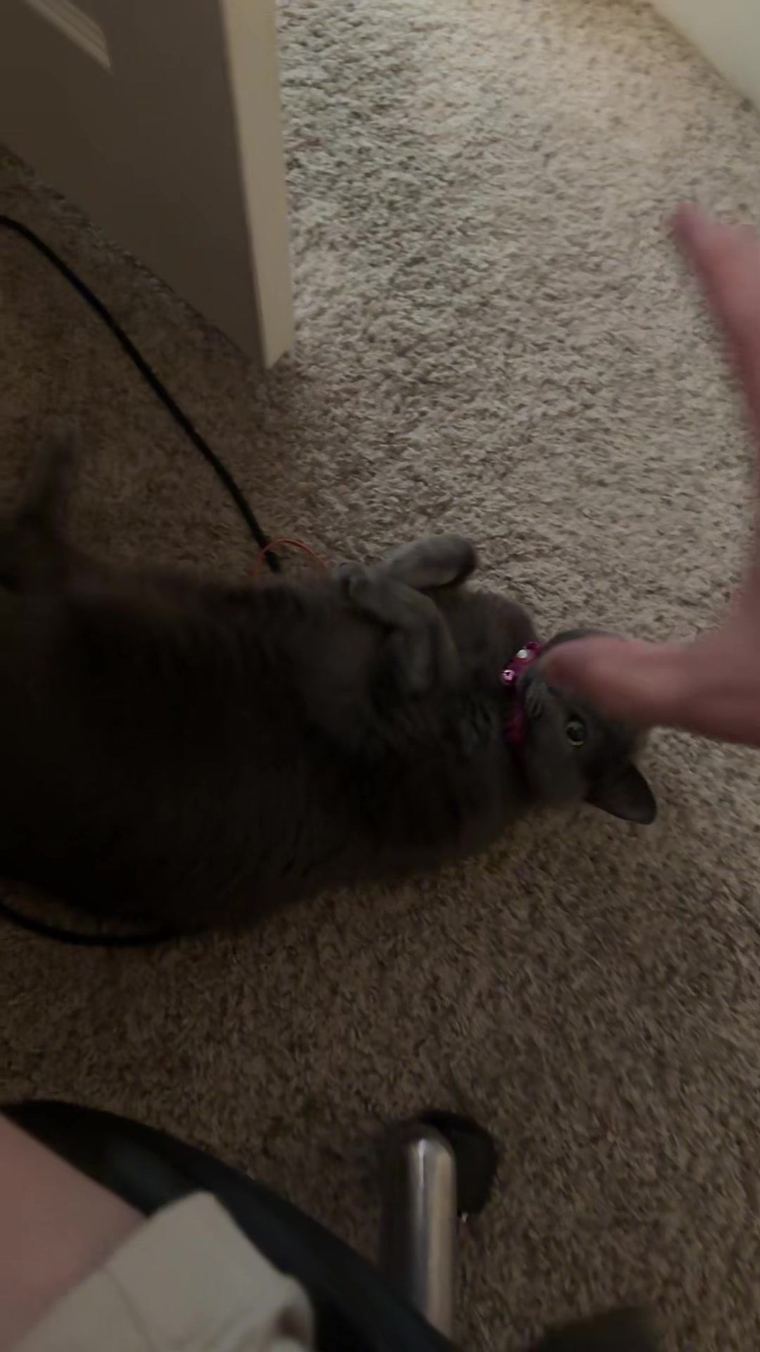@Chrisdeza08