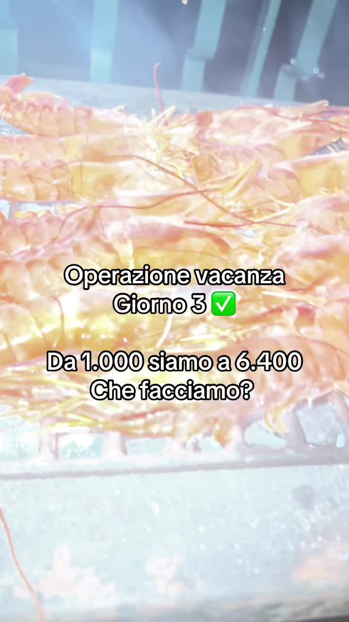 @Mirkocisco