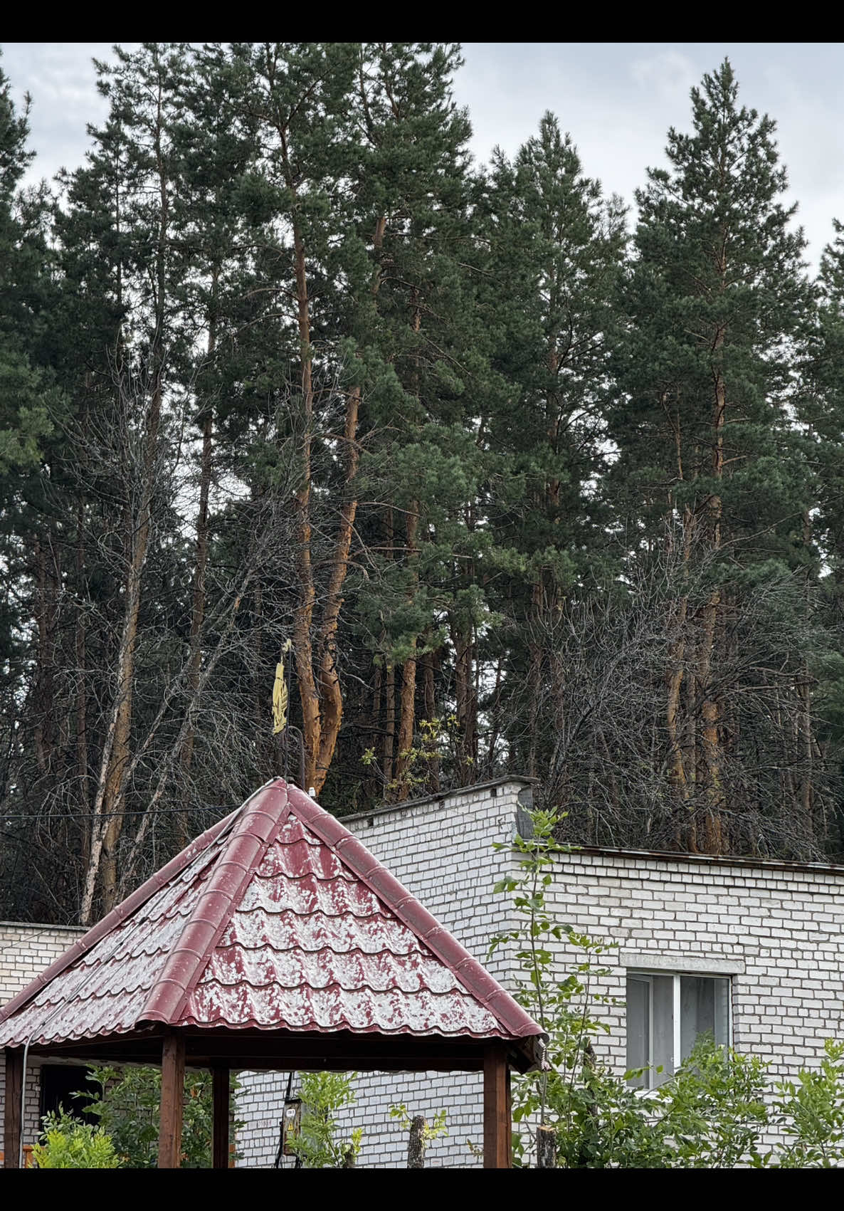 @Даяна