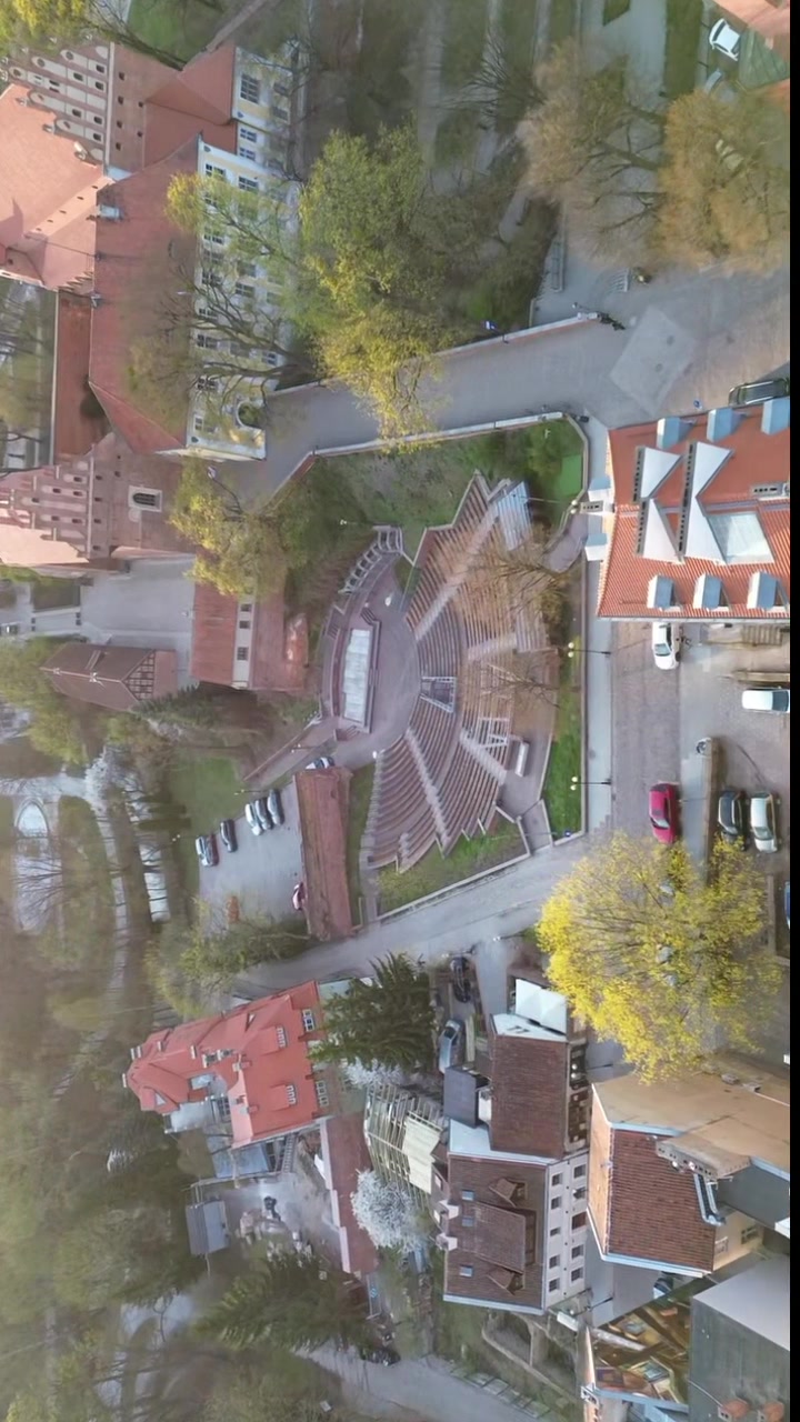 @81_kubuss