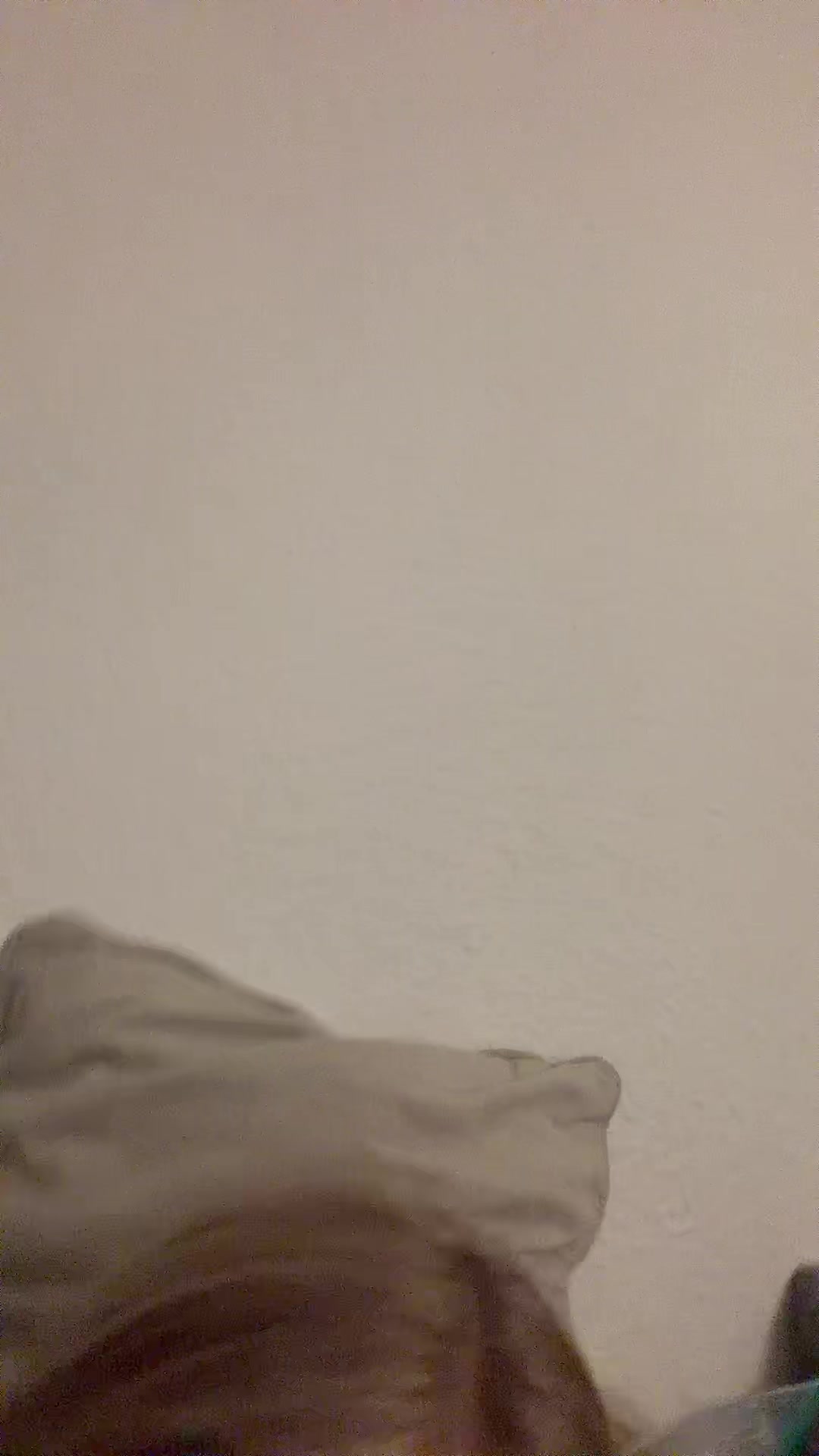 @Аріна 🐶🐭🐹🐱