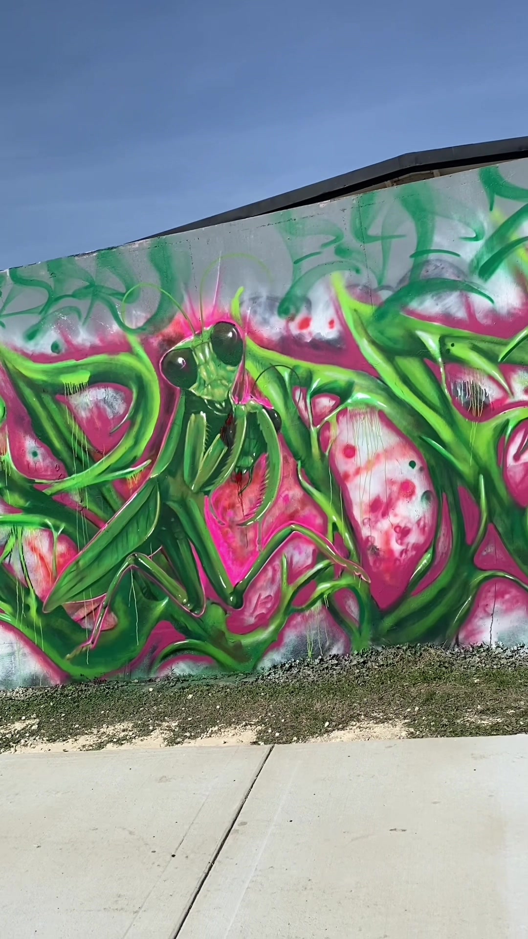 @Spider_Eyez