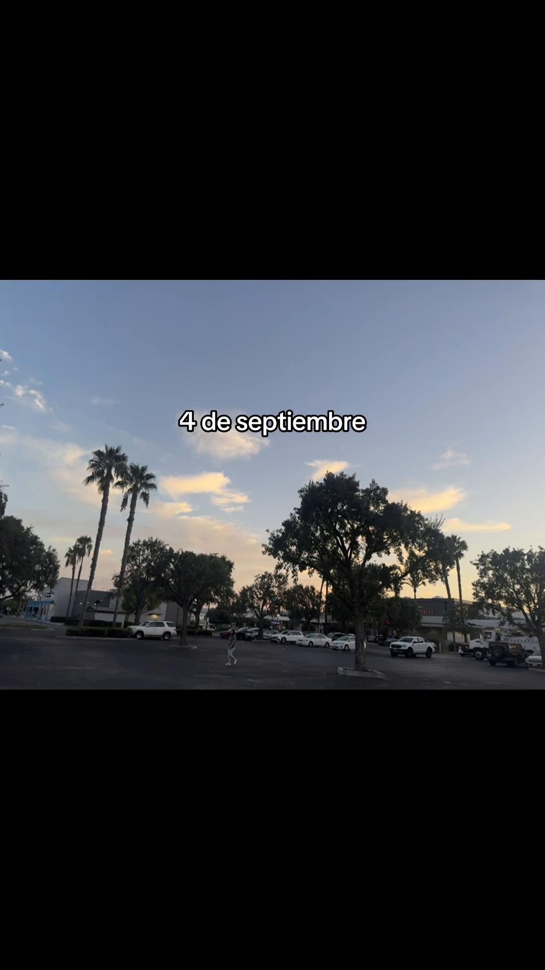 @No_he  JR🦕🦋❤️  +505