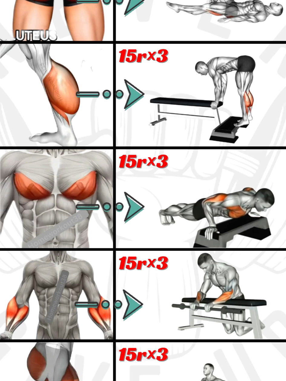 @HOMEWORKOUT