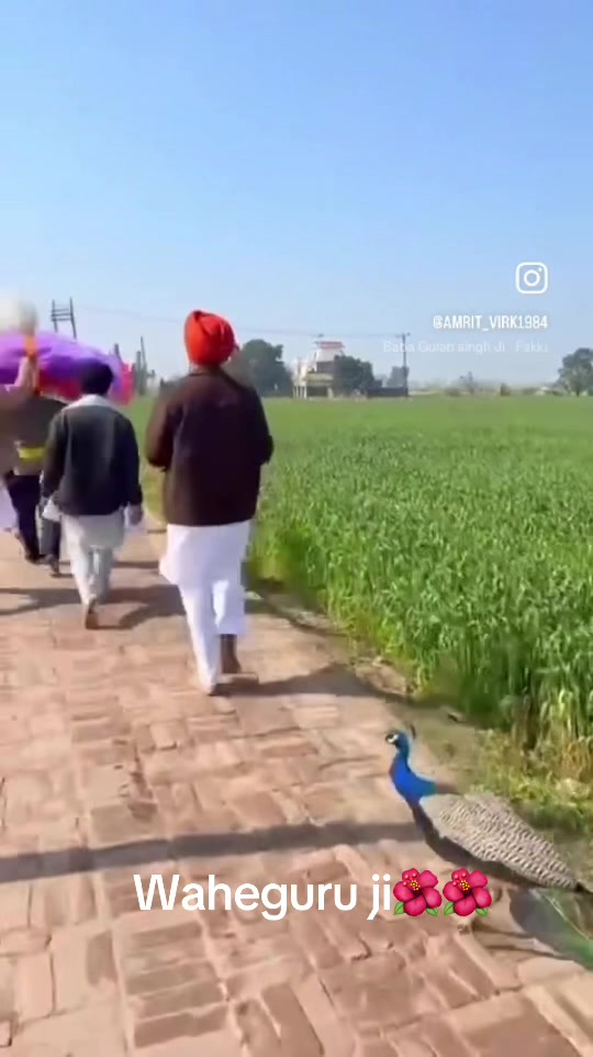 @ਮਿਨਹਾਸ ਰਾਜਪੂਤ