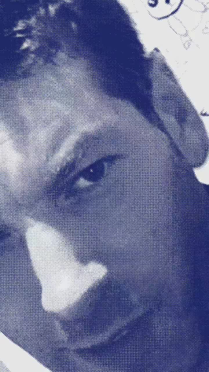@Lukino 8866 tiktoker como