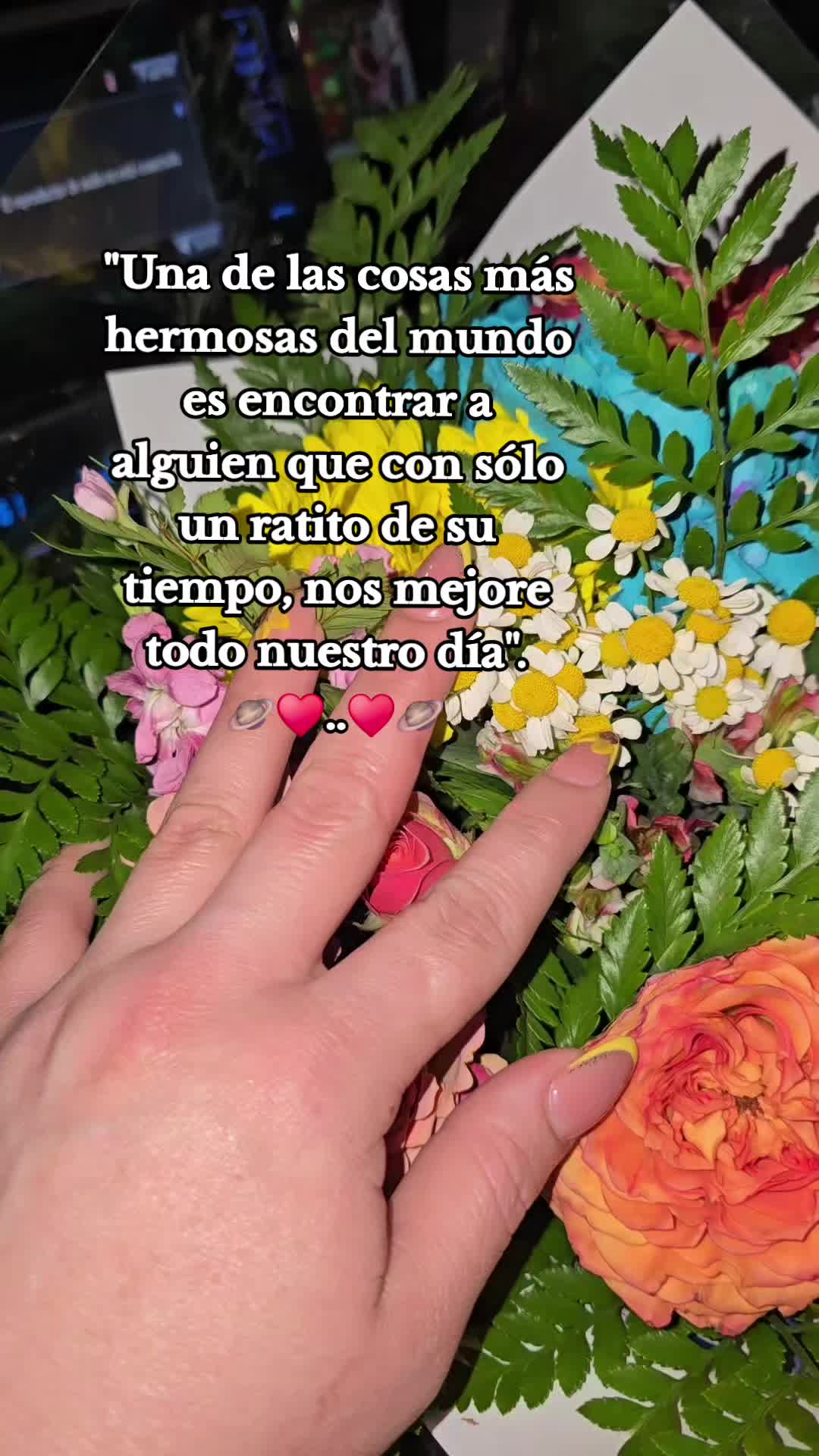 @Ingrid 🦋💖🦋