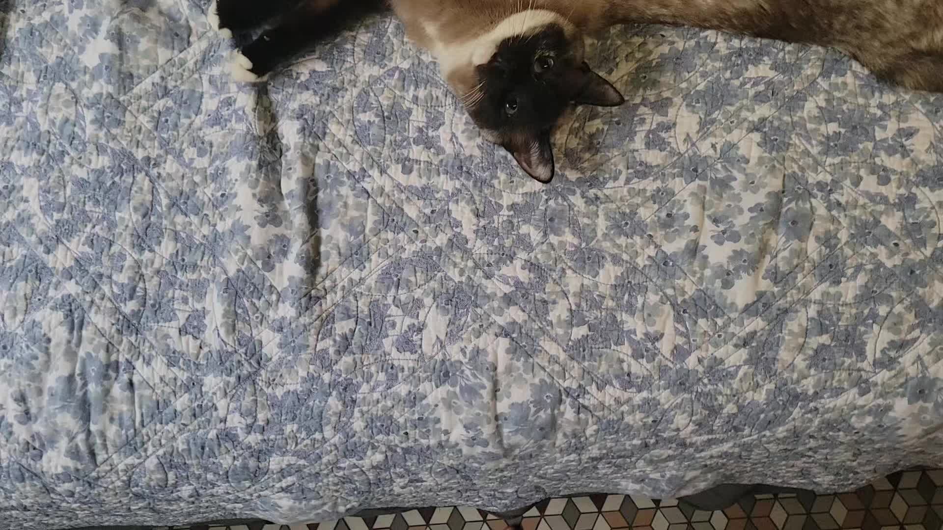 @Kat