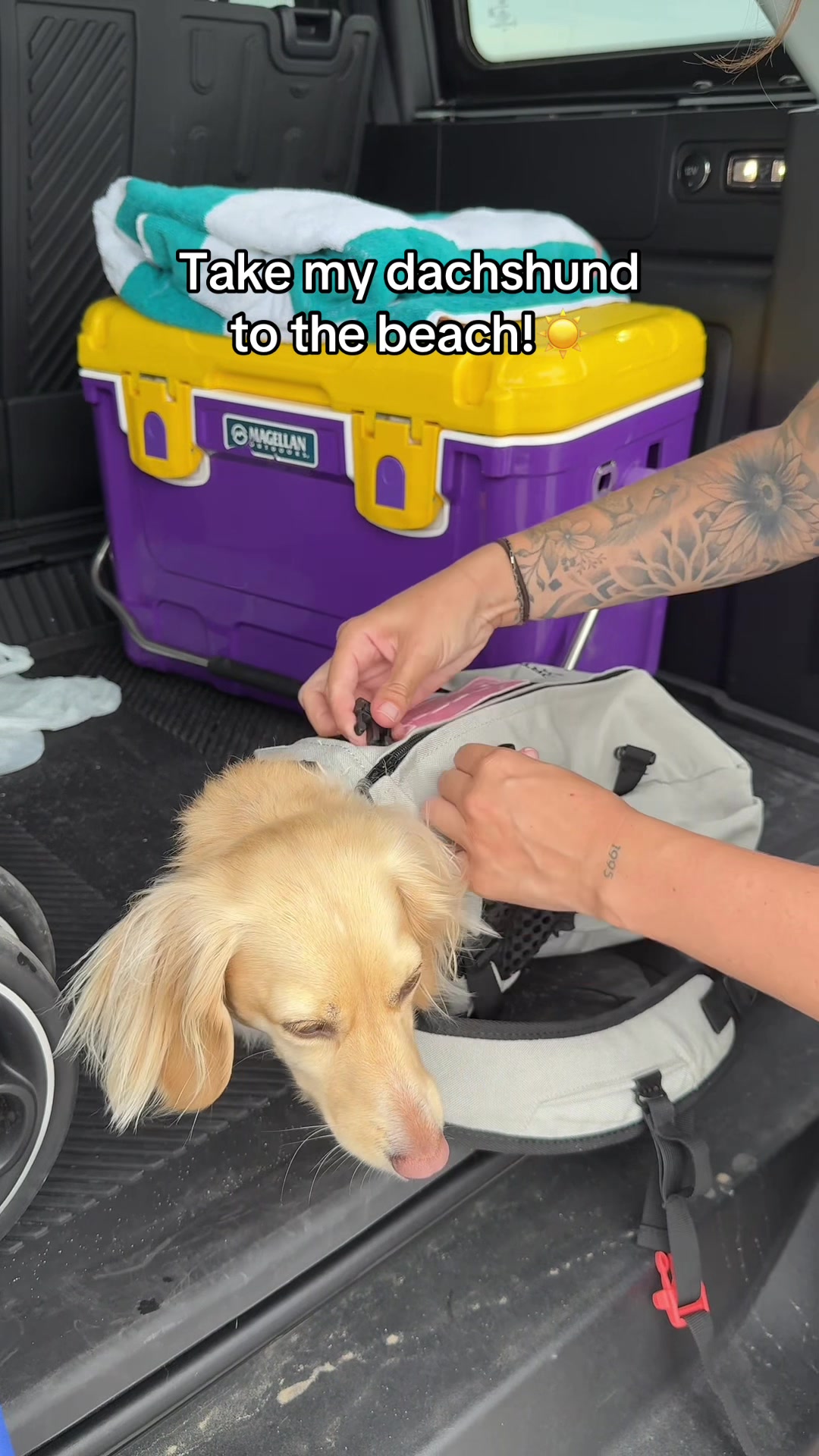 @Billiebeantheween