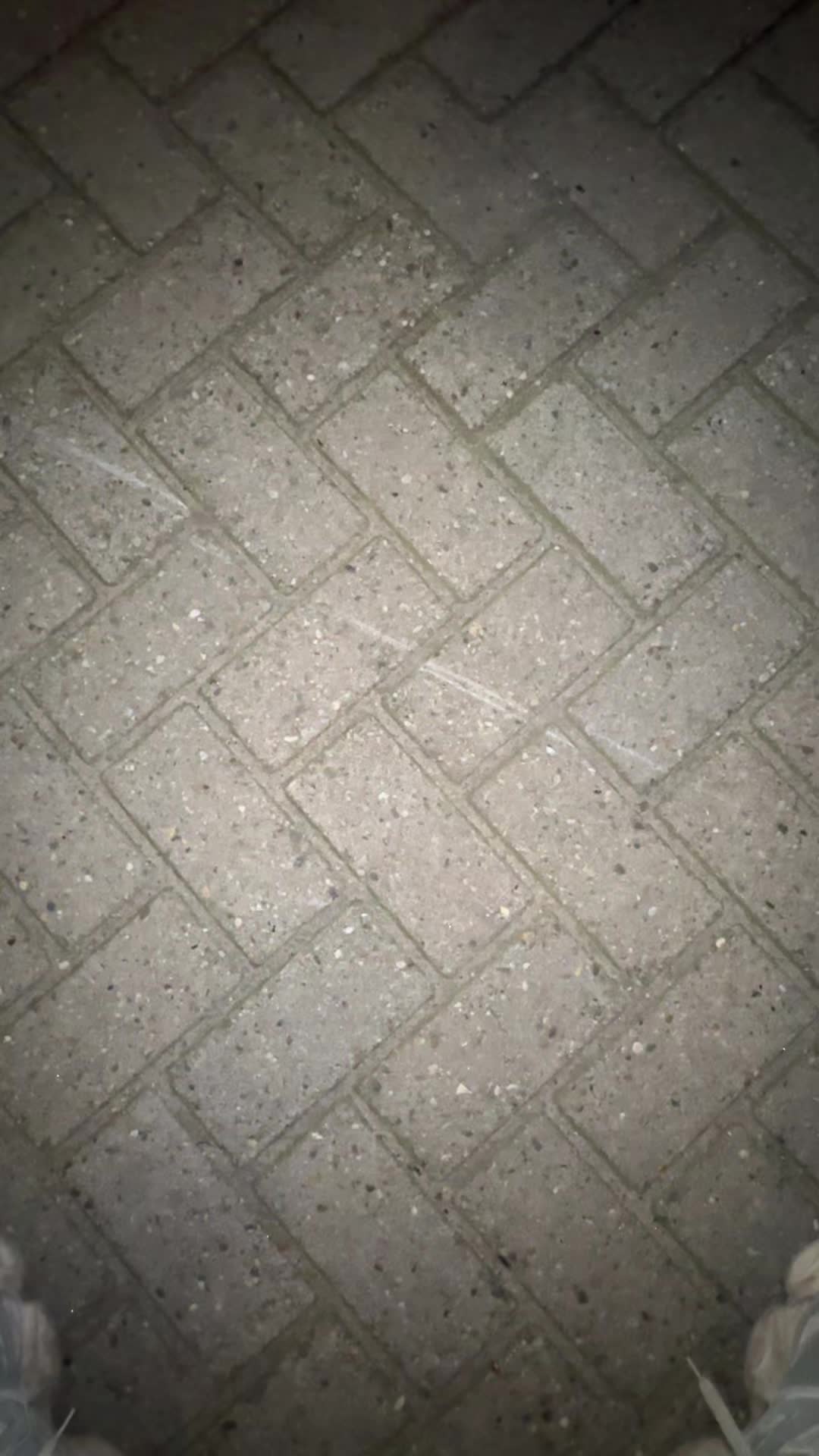 @rs_why18
