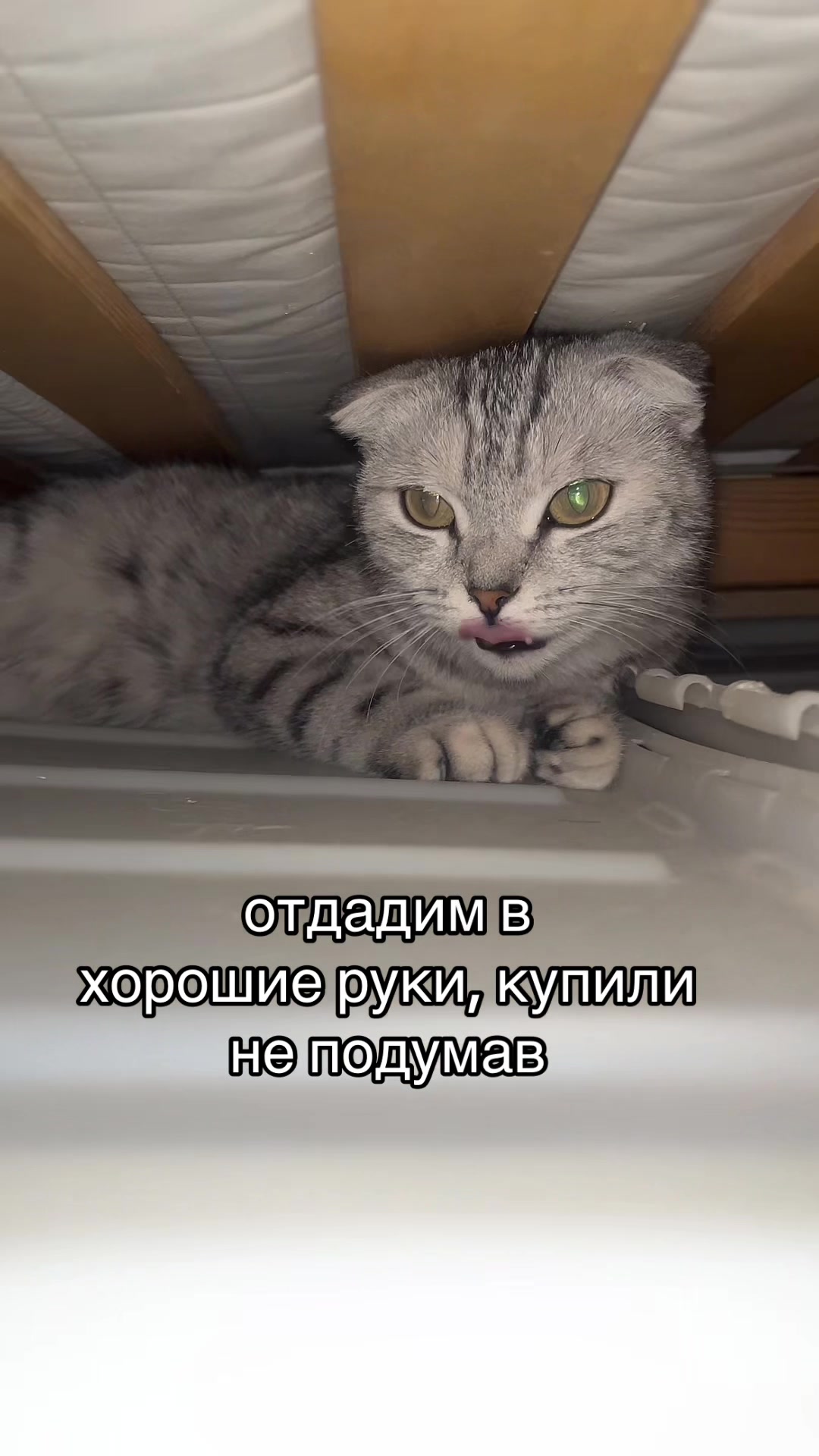 @Ulyann0