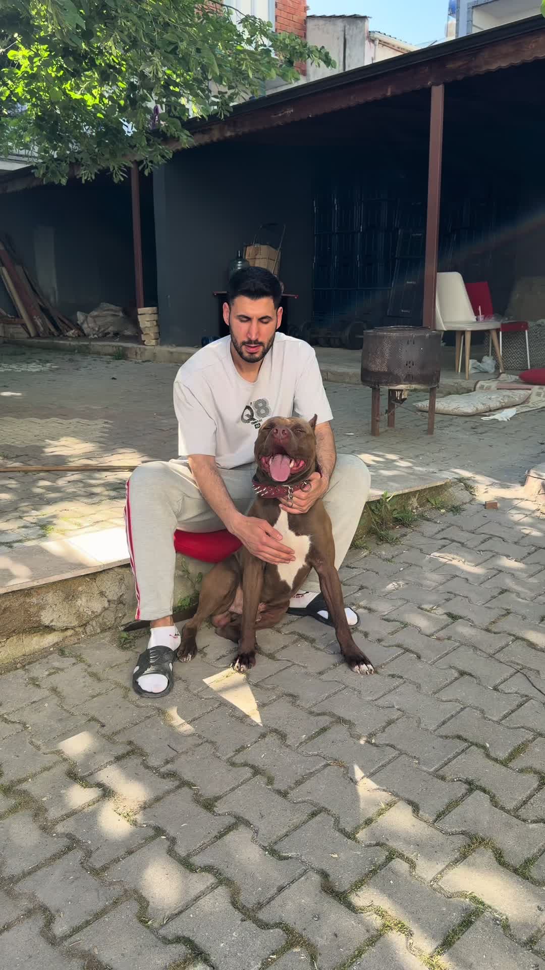 @BARUTBEYY🐶