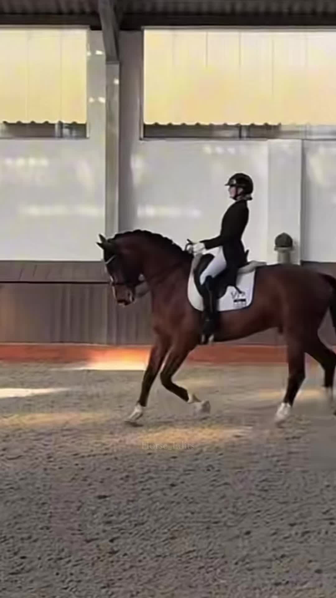 @horse_edits