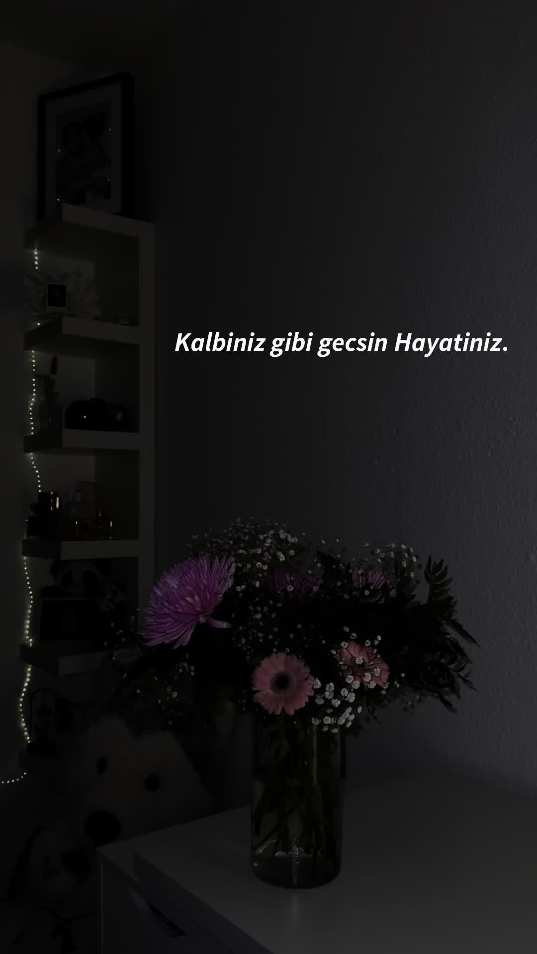 @alyn_680