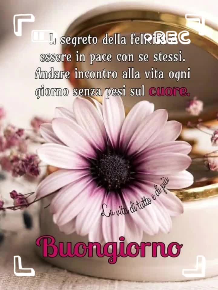 @Clelia Tammaro