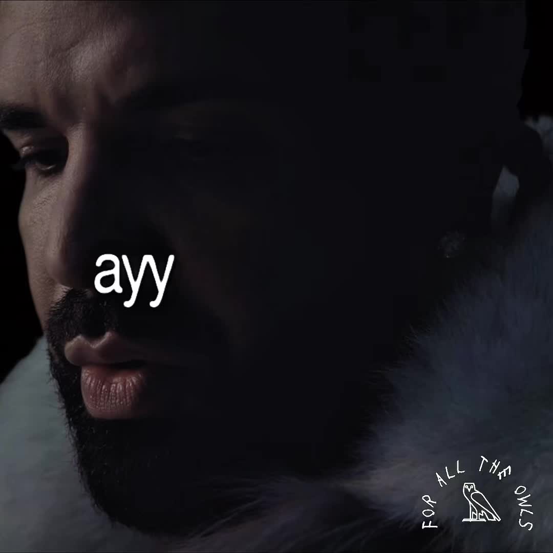@𝗙𝗼𝗿𝗔𝗹𝗹𝗧𝗵𝗲𝗢𝘄𝗹𝘀|𓅓