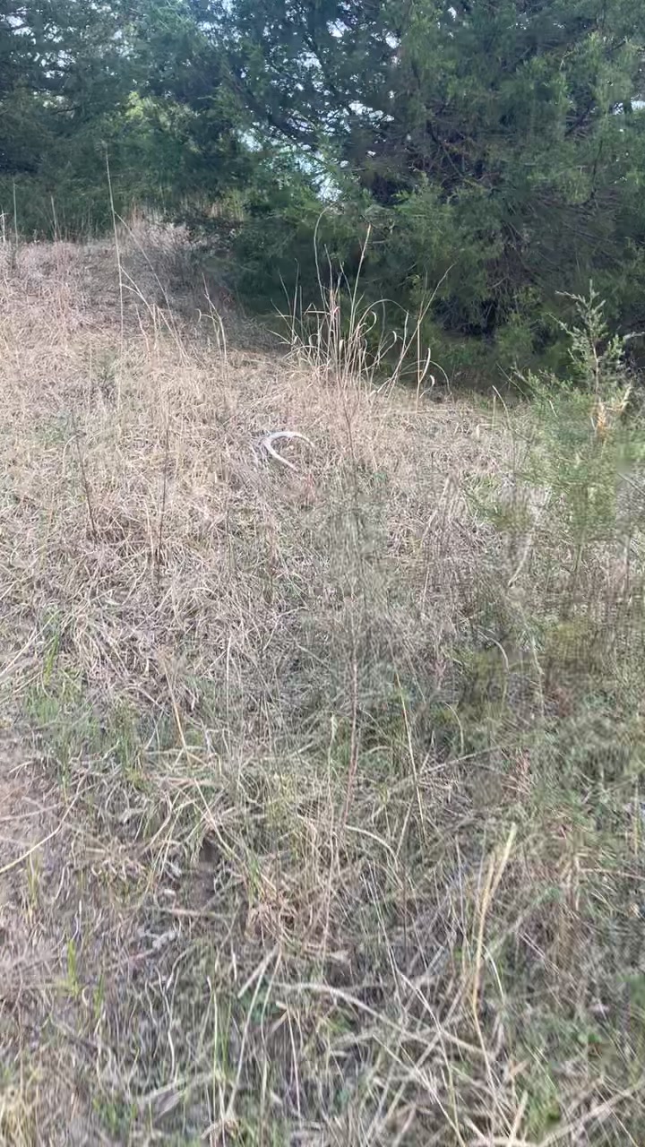 @Tactical Approach Outdoors LLC
