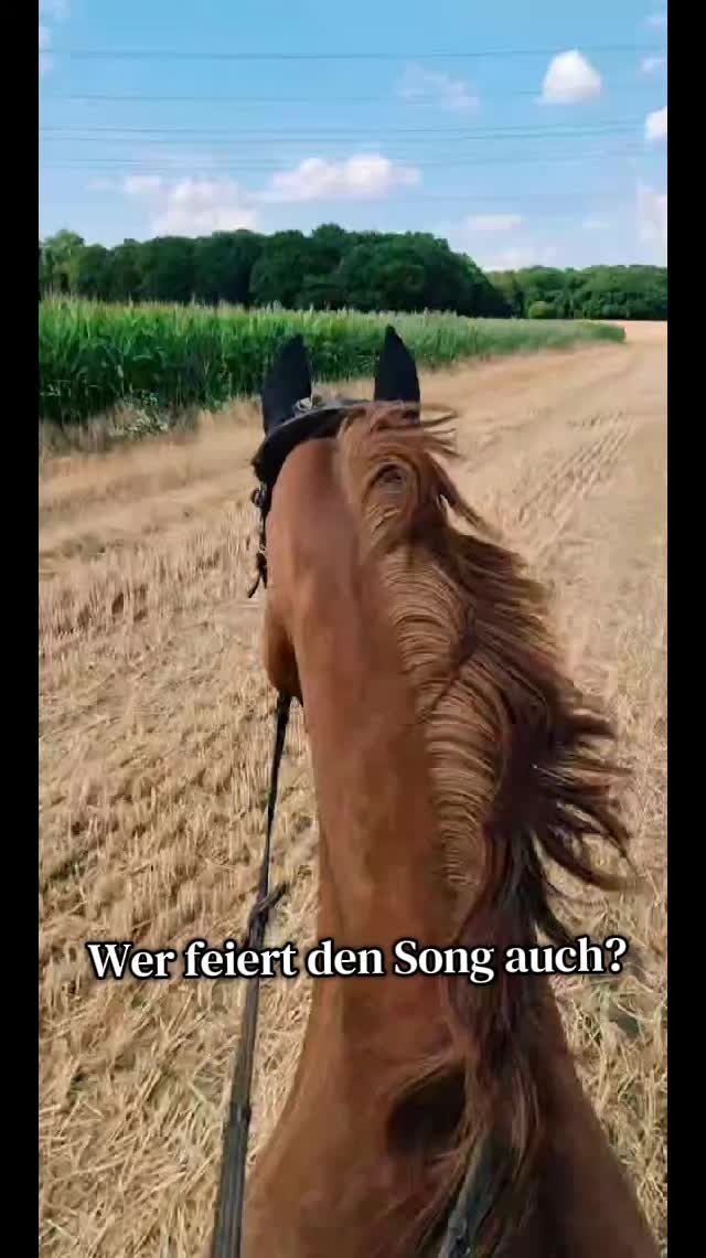 @Another_sunrise_farm