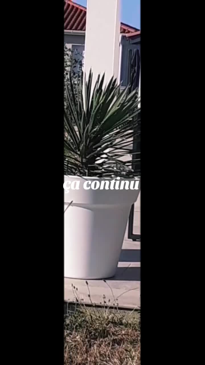 @Dacoté
