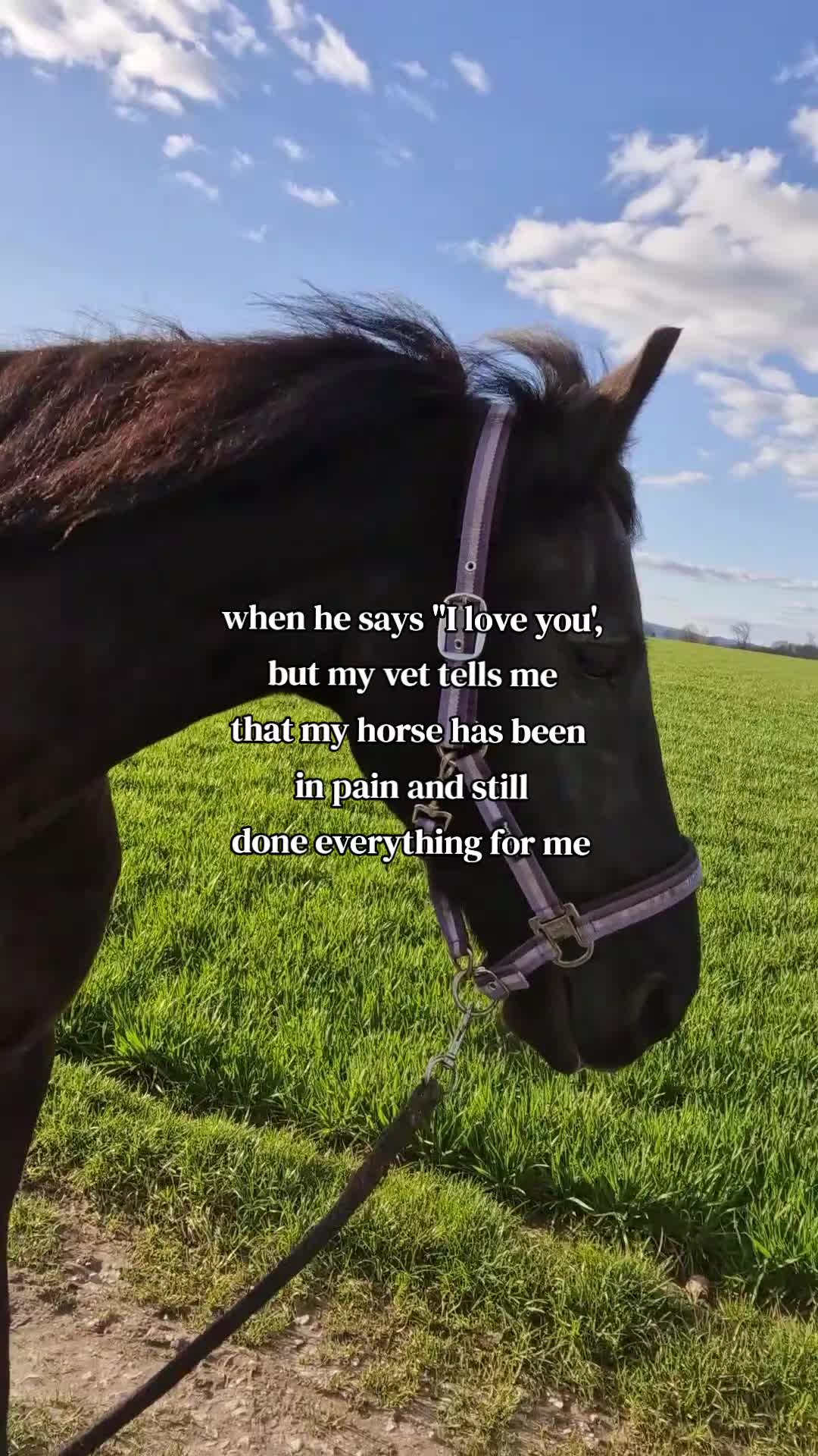 @Soñador