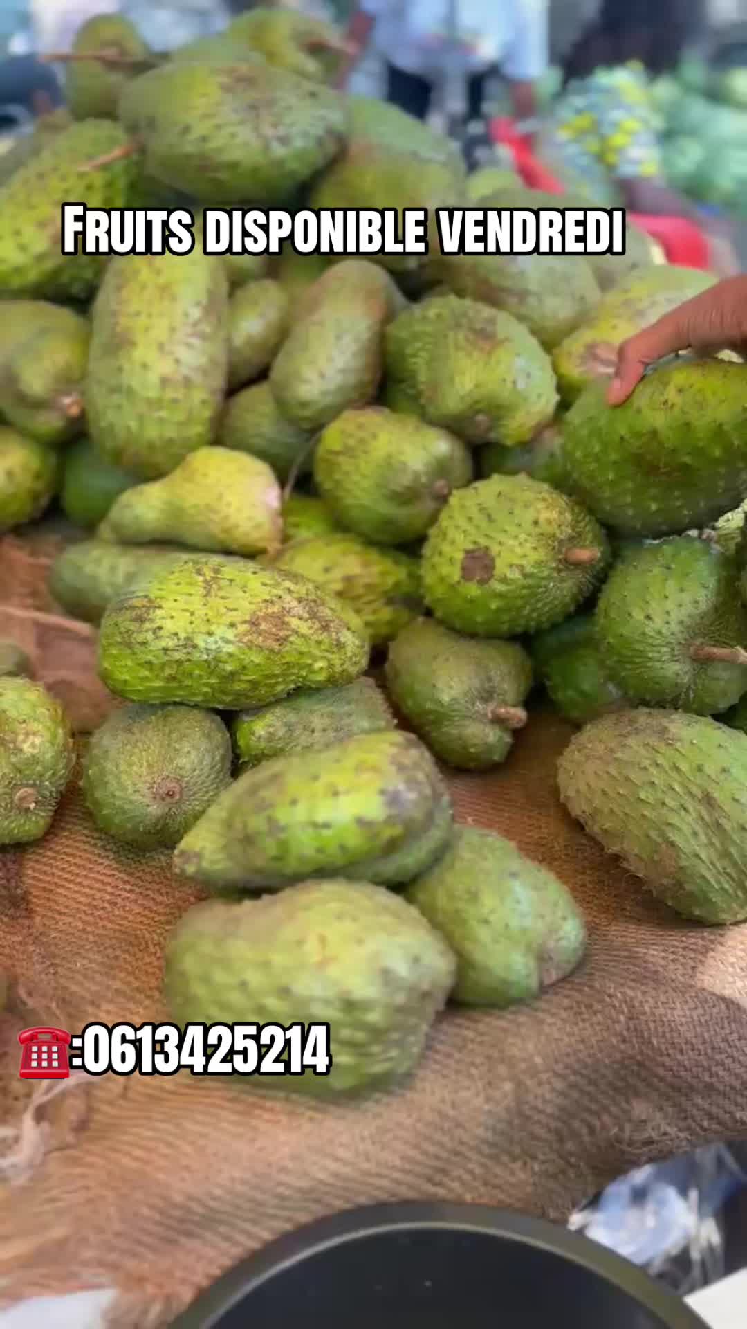 @kongoracines