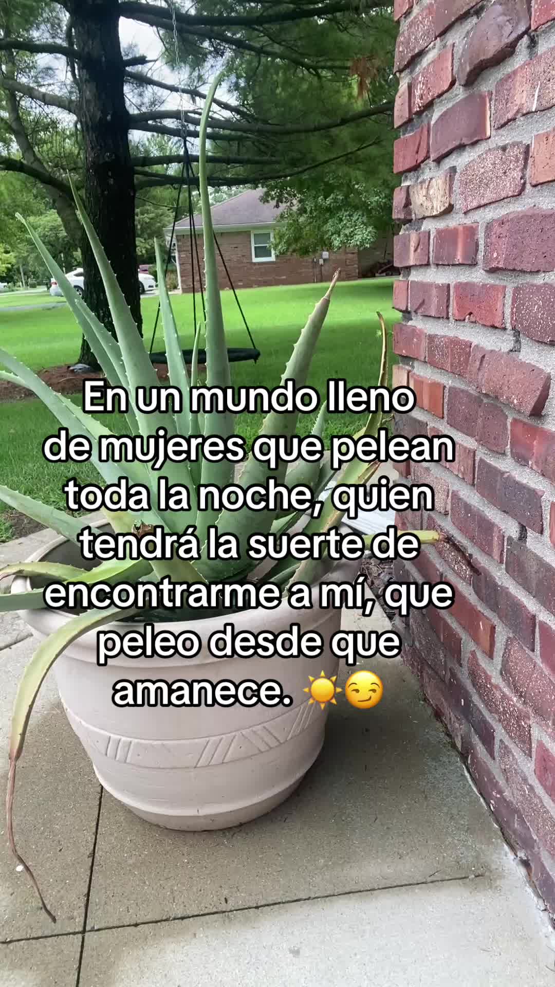 @lejitos_del_sol