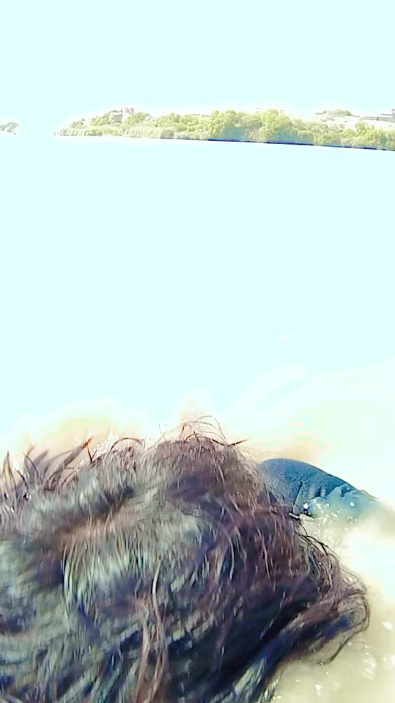 @𝐌𝐀𝐔𝐒𝐀𝐌.𝐊𝐈𝐍𝐆🖤⃝🤍