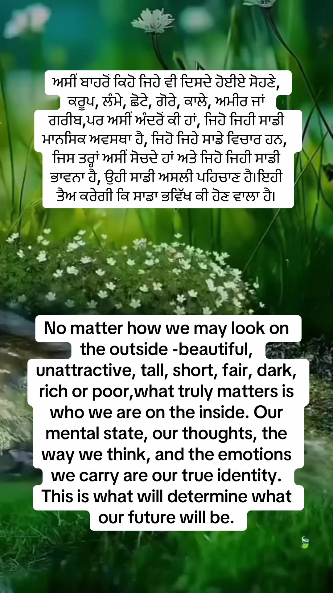 @Mandeep Ashat LIFE HEALER