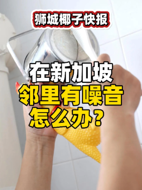 @新加坡狮城椰子