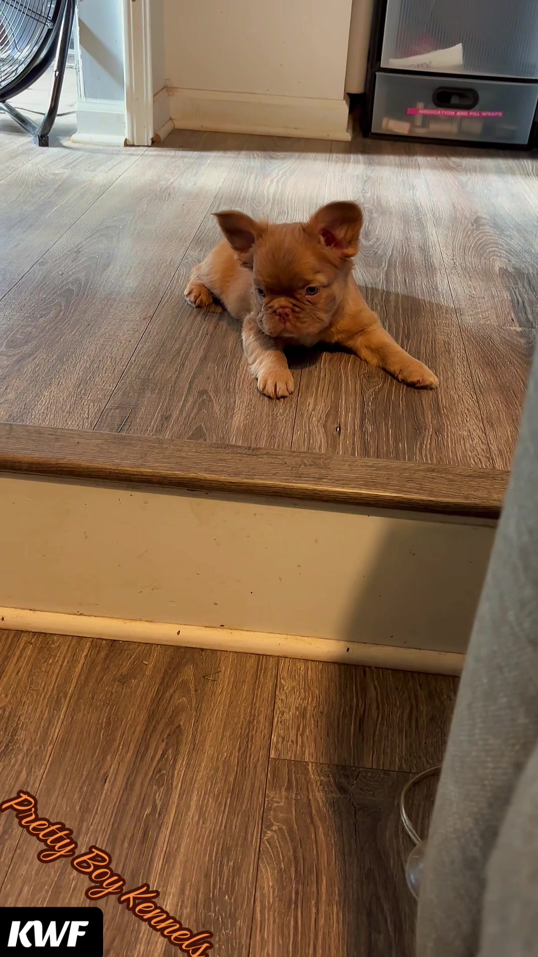 @prettyboykennels