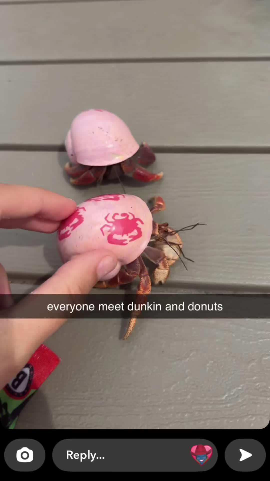 @mia holt
