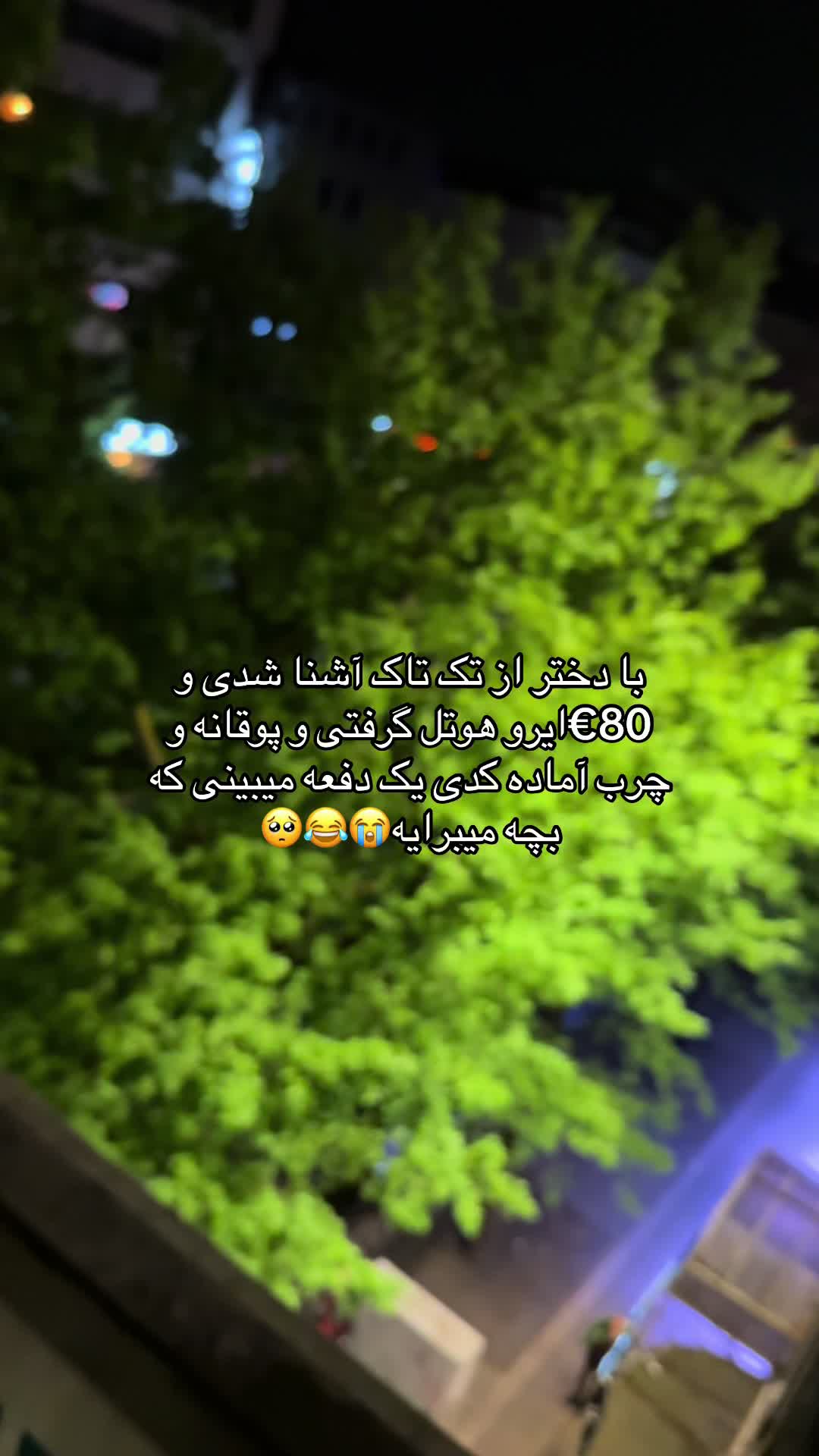 @ظوZoyی