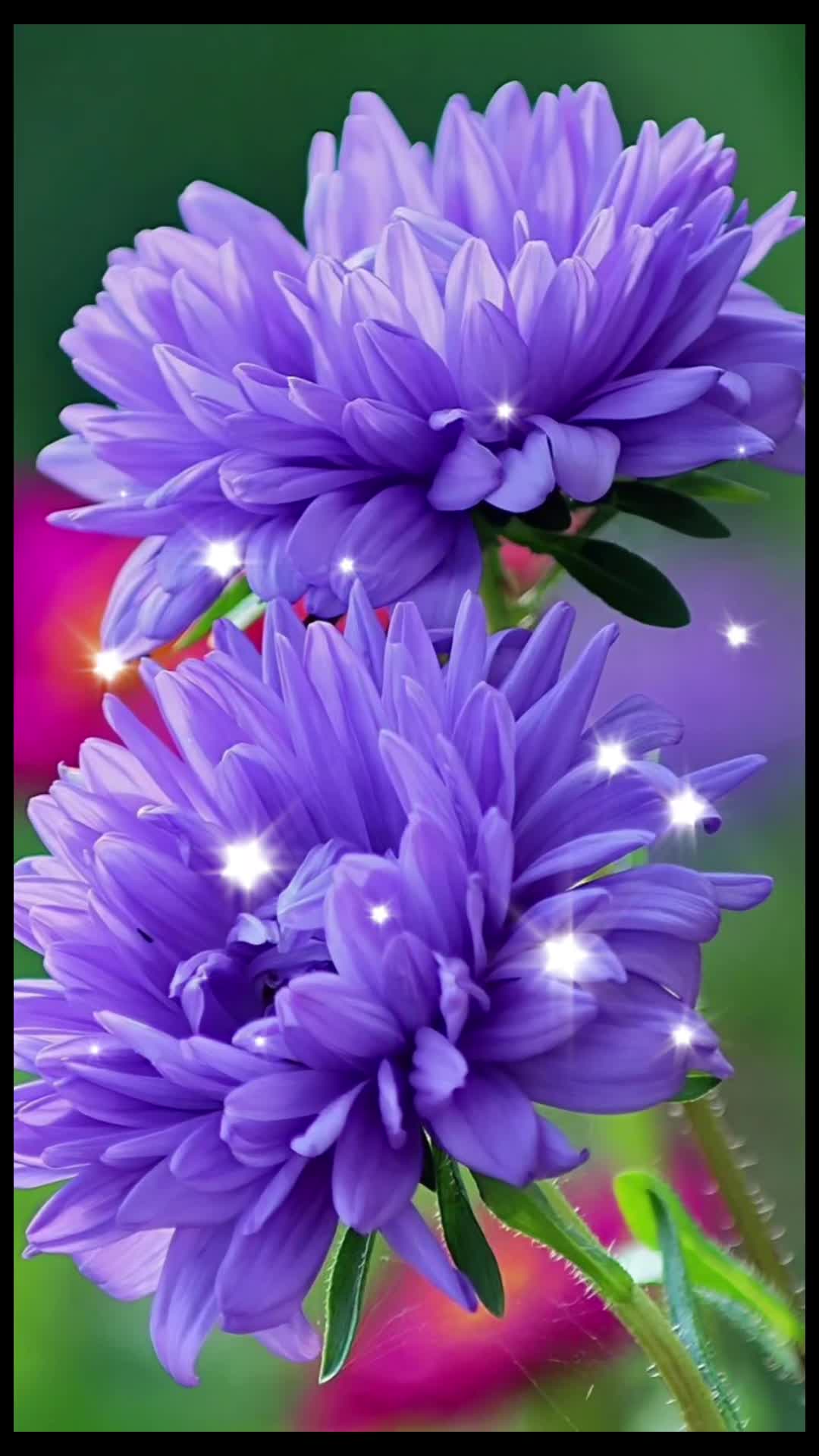 @Nazia Bhati🌷