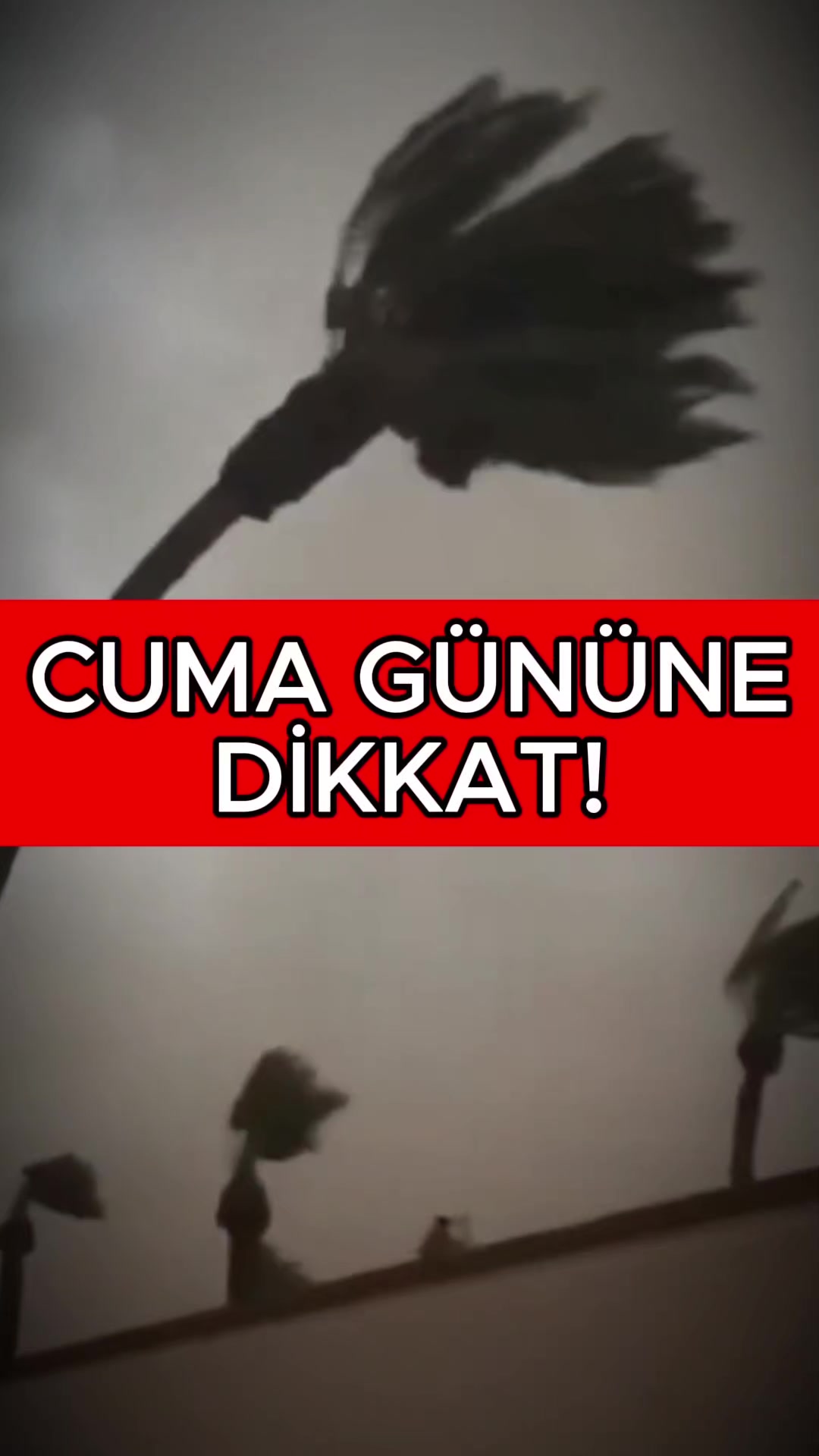 @Havadar