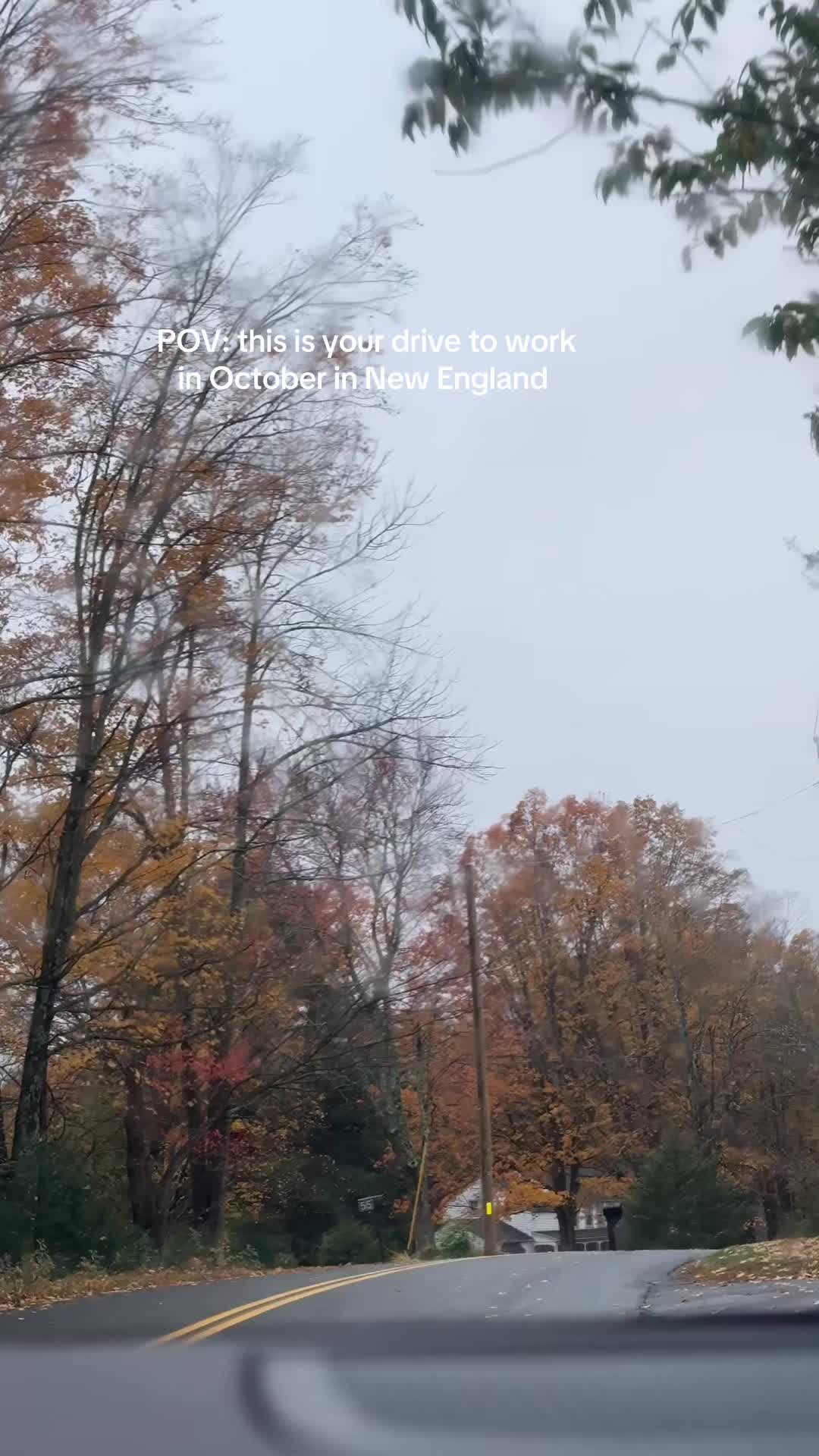 @hannpease
